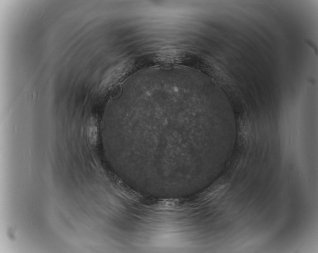 X0000102220080200808011212