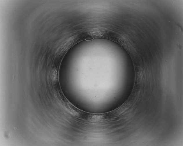 X0000102220081200808011212