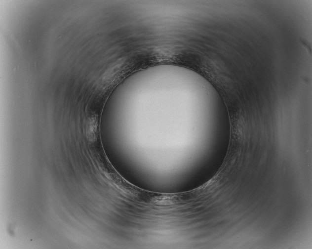 X0000102220082200808011212