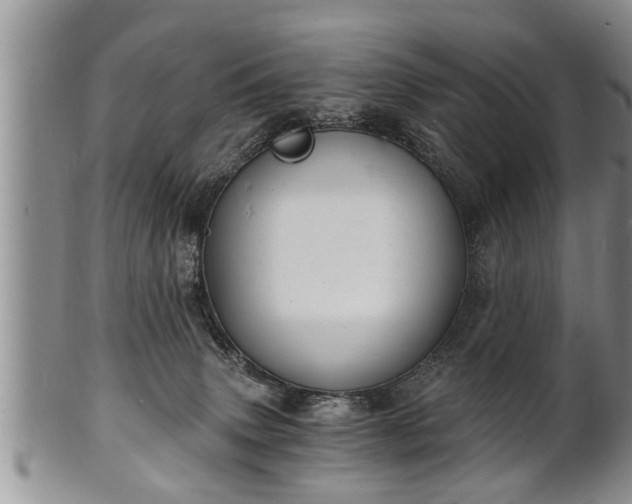 X0000102220083200808011212