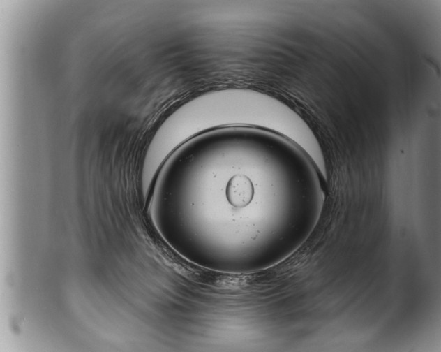 X0000102220084200808011212