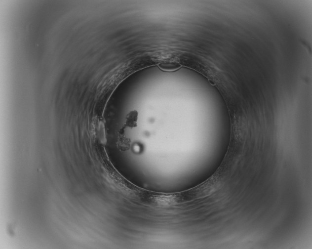 X0000102220085200808011212