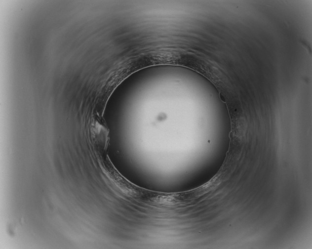 X0000102220086200808011212