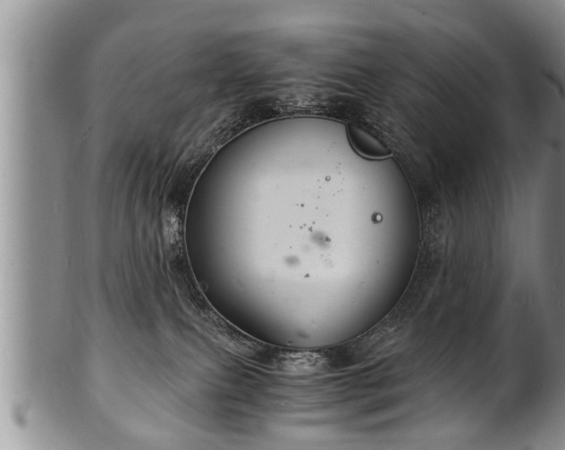 X0000102220087200808011212