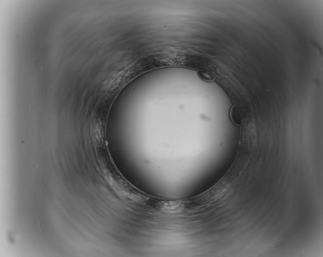 X0000102220088200808011212