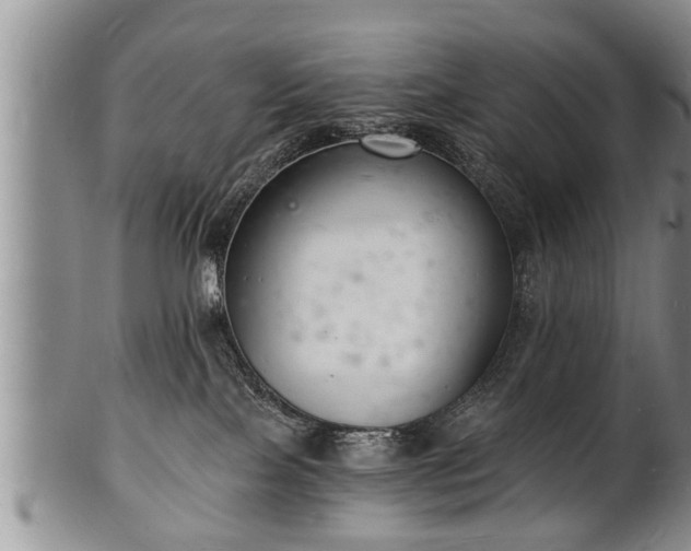 X0000102220089200808011212