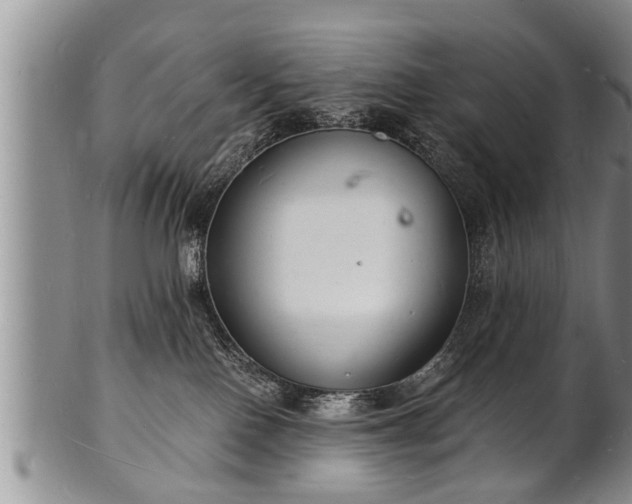 X0000102220090200808011212