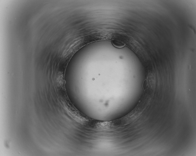 X0000102220092200808011212