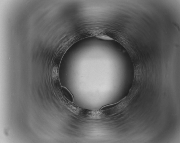 X0000102220093200808011212