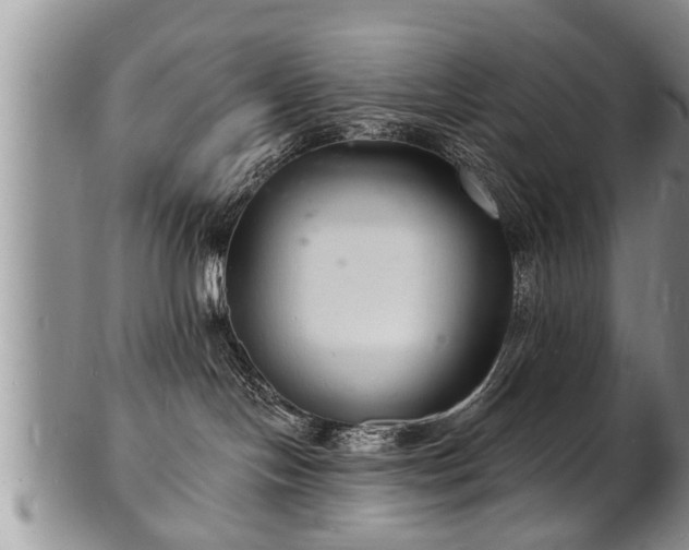 X0000102220094200808011212