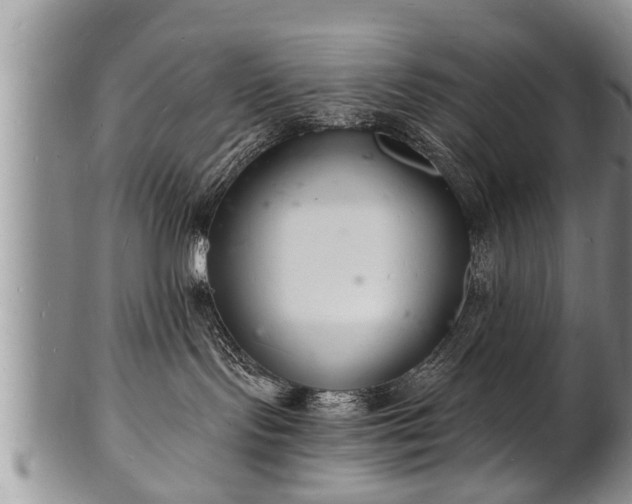 X0000102220095200808011212