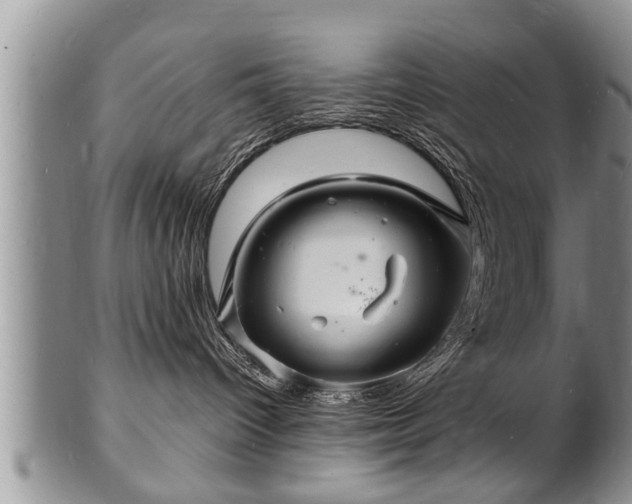 X0000102220096200808011212