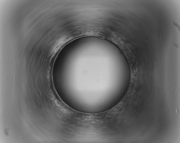 X0000102220098200808011211