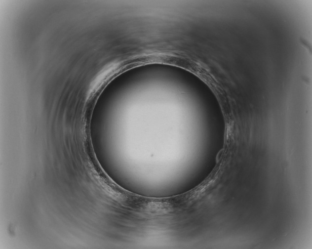 X0000102220101200808011211