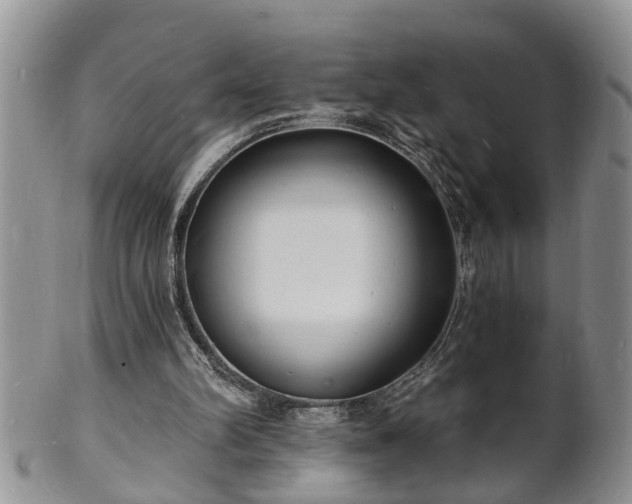 X0000102220102200808011211