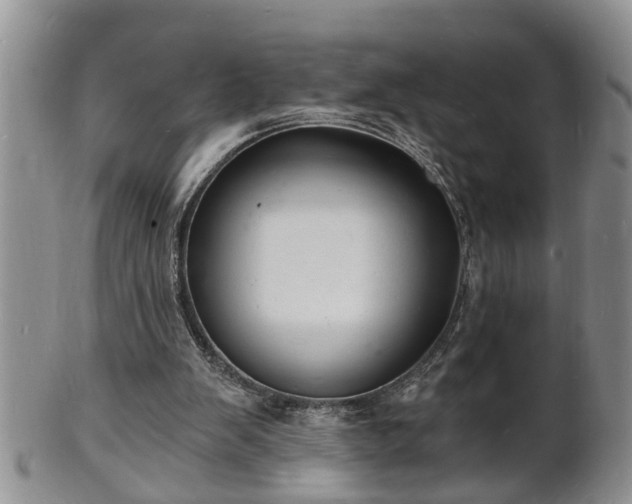 X0000102220103200808011211