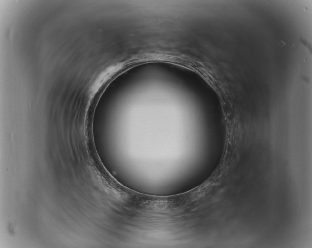 X0000102220104200808011211