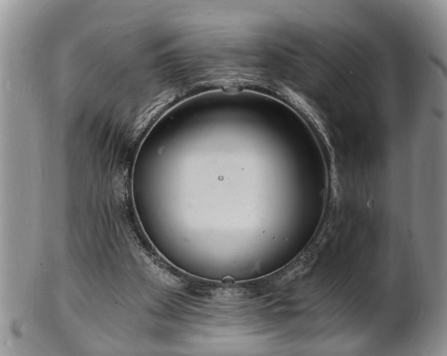 X0000102220105200808011211