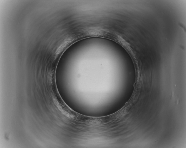 X0000102220106200808011211