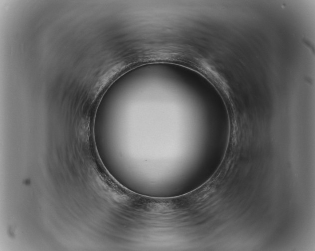 X0000102220107200808011211