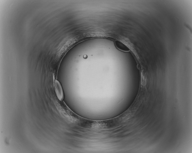 X0000102220109200808011211