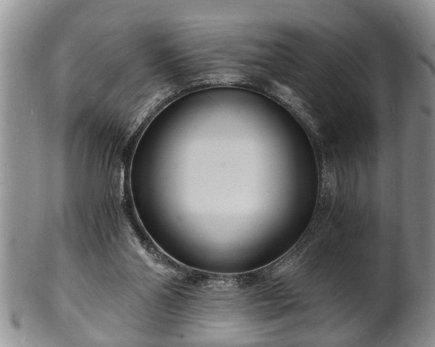 X0000102220110200808011211