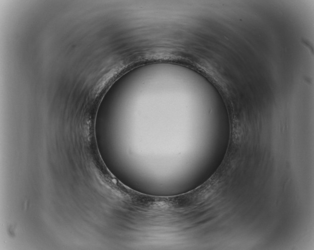 X0000102220111200808011211