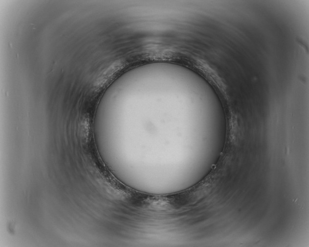 X0000102220113200808011211