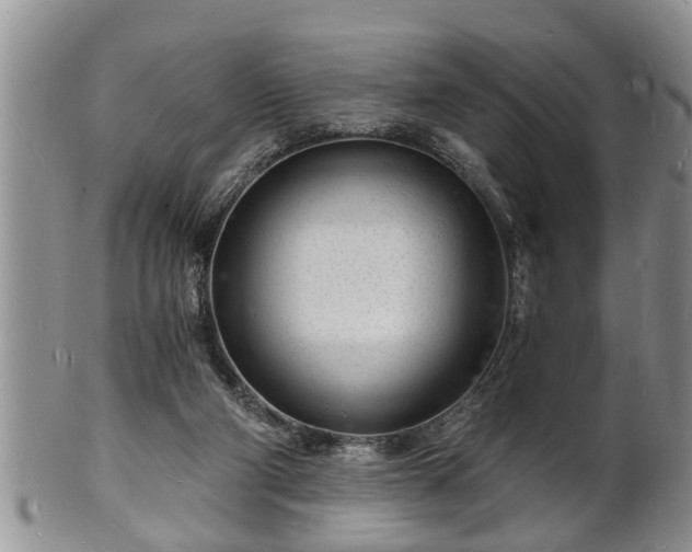 X0000102220114200808011211