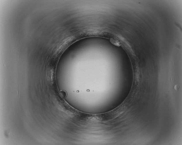 X0000102220115200808011211