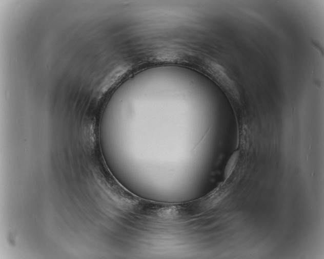 X0000102220116200808011211