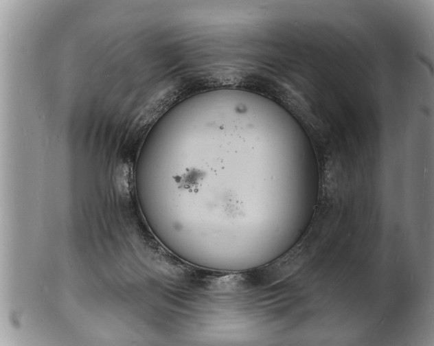 X0000102220122200808011211