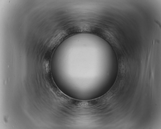 X0000102220123200808011211