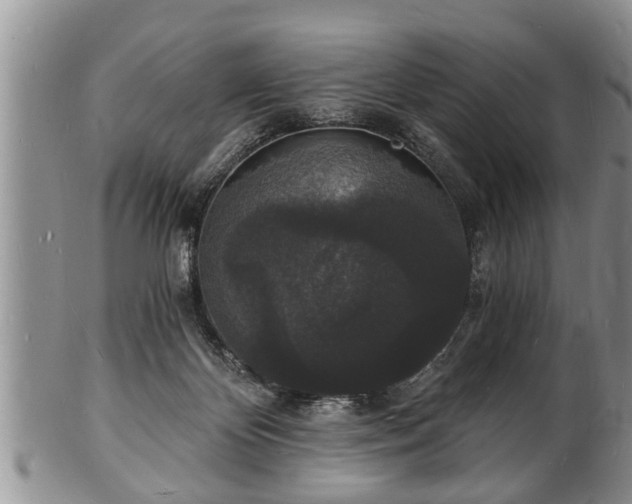 X0000102220124200808011211