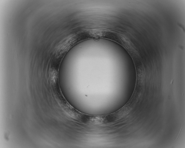 X0000102220125200808011211