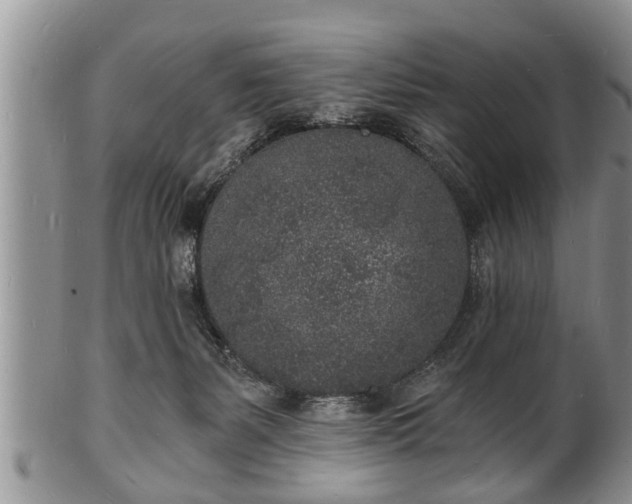 X0000102220127200808011211