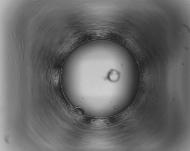 X0000102220129200808011211