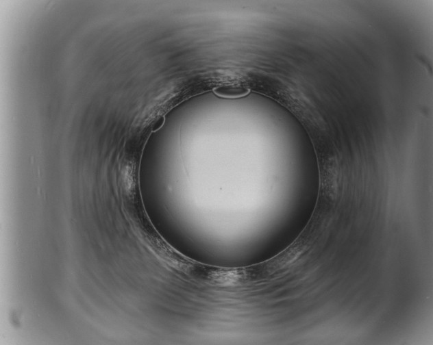 X0000102220131200808011211