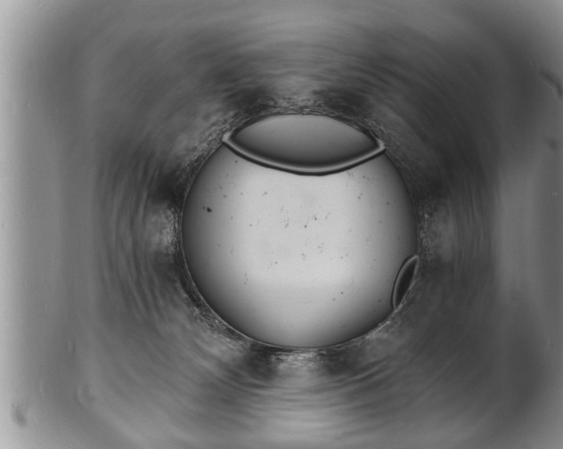 X0000102220132200808011211