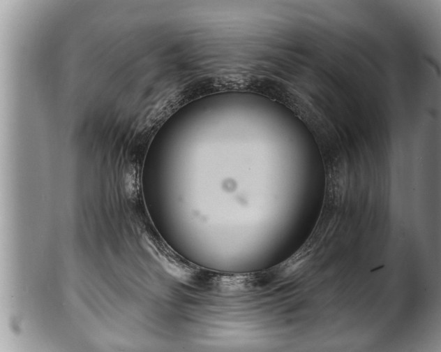 X0000102220134200808011211