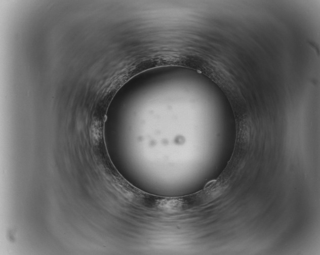 X0000102220135200808011211