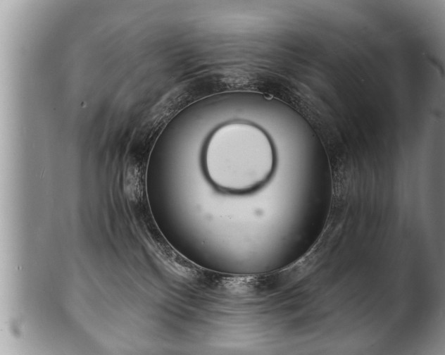 X0000102220136200808011211