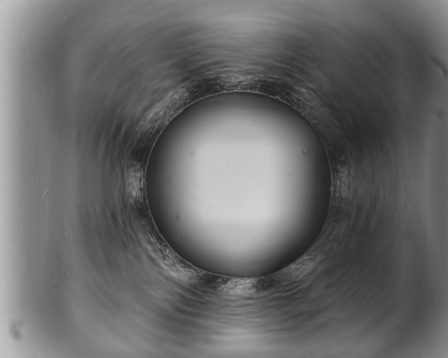 X0000102220138200808011211