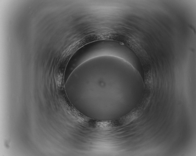 X0000102220139200808011211