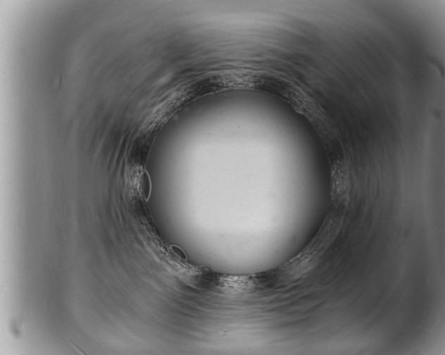 X0000102220141200808011211