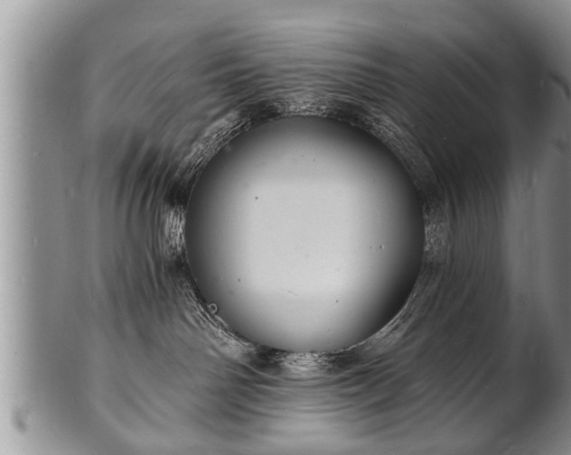 X0000102220142200808011211