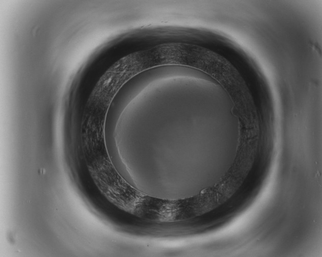 X0000102220143200808011211