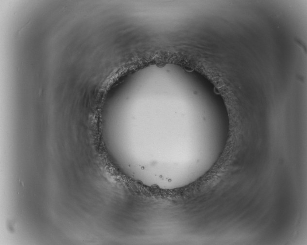 X0000102220144200808011211