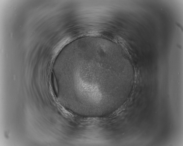 X0000102220145200808011210