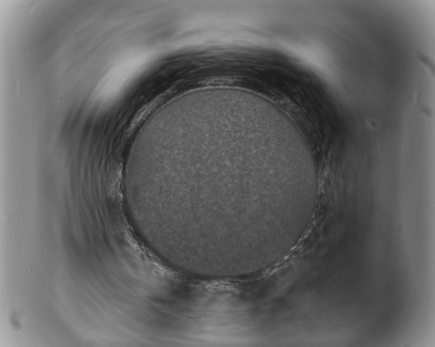 X0000102220146200808011210